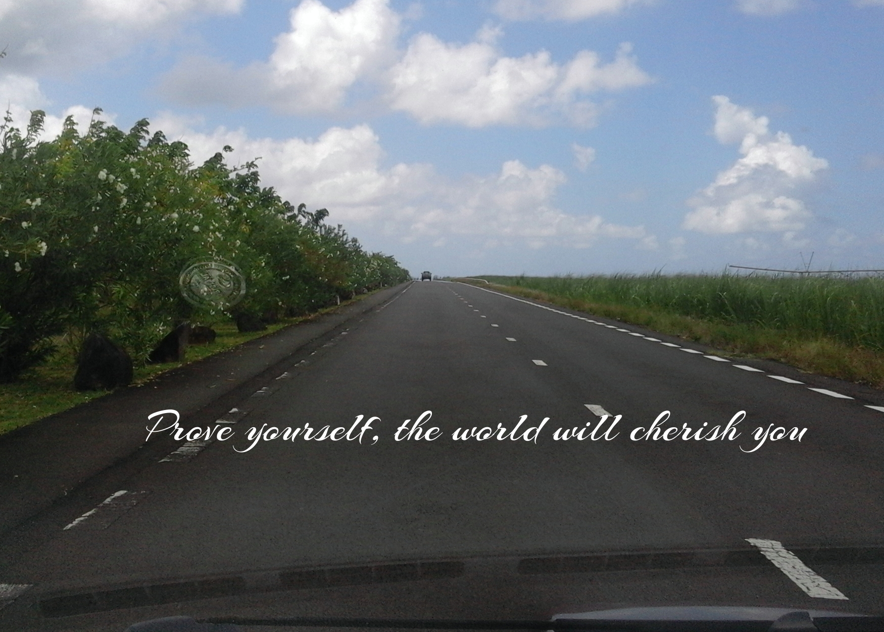 Who Will Pay For Your Bullheadedness? Who Will Pay For Your Bullheadedness?