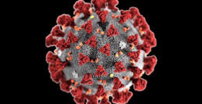 Covid-19: The Invisible Impacts